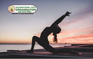 International Yoga Organisation-Yoga Means Connection