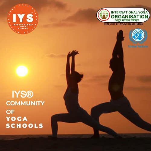 IYS banner